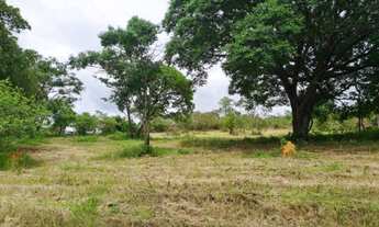 Imagem 3: Chácaras planas de 1.000m² em Juatuba por R$65.000,00. Ac/ Carro e financio s/ juros