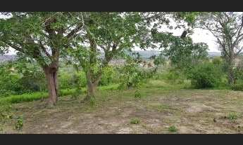 Imagem 5: Lote/Terreno para venda tem 260000 metros quadrados em Nossa Senhora das Graças - Gravatá