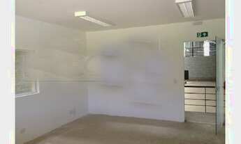 Imagem 5: GALPÕES CONDOMÍNIO 2.000 M² P/D 8 MTS PX. FERNÃO DIAS, JD. BRASIL SP