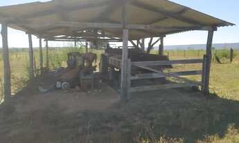 Imagem 7: Fazenda 174 Alqueires, Formosa, GO