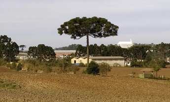 Imagem 5: Ótimo Terreno para condomínio à 5 min da Prefeitura C Magro