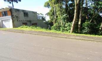 Imagem 2: Terreno para Venda em Quatro Barras, Jardim Orestes Thá