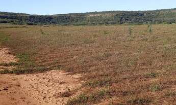Imagem 4: Fazenda 50 alqueirão 110 km de Uberlândia