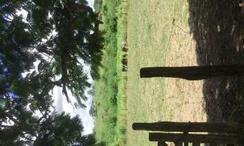 Imagem 3: Sítio em Itapetinga, oportunidade!!!