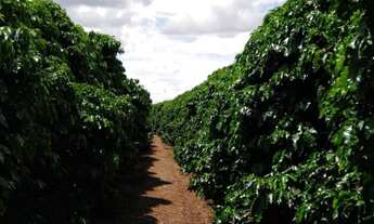 Imagem 4: Fazenda - Luiz Eduardo Magalhães(BA