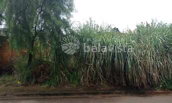 Imagem 2: TERRENO À VENDA NO JARDIM MARISSOL II EM APUCARANA