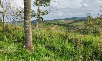 Imagem 2: Imóvel para venda tem 999 metros quadrados em - Igaratá - São Paulo.