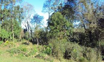 Imagem 3: Caxias Do Sul - Terreno Padrão - Santa Corona