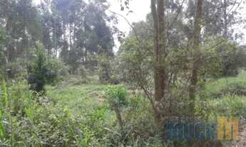 Imagem 4: Nova Santa Rita - Terreno Padrão - Sanga Funda