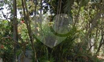 Imagem 4: Chacara PQ Jambeiro