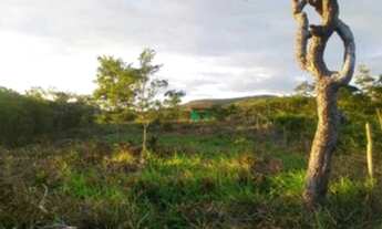 Imagem 6: Sítio com casa nova