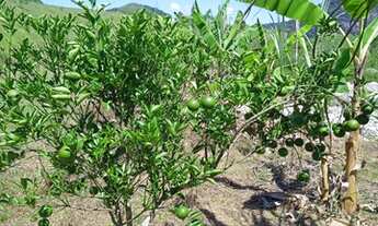 Imagem: TERRENOS RIO DAS OSTRAS