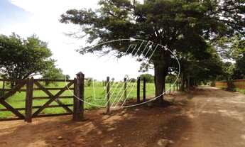 Imagem 3: área - Vila Hollândia - Campinas