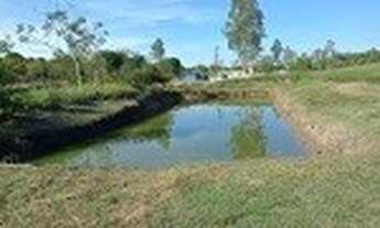 Imagem: Fazenda/Sítio/Chácara para venda possui