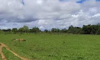 Imagem 2: Fazenda/Sítio/Chácara para venda tem 726000 metros quadrados em Rive - Alegre - ES