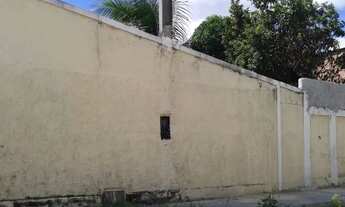 Imagem 4: Vendo uma excelente casa sítio