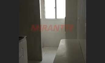 Imagem 4: Lindo apartamento em Santa Terezinha