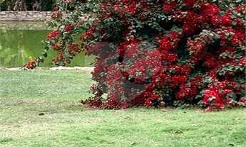 Imagem 6: Sitio a venda em Indaiatuba SP - Bairro Mirim - 36.800 m²