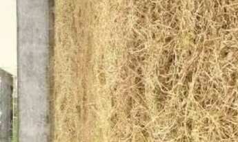 Imagem 3: Terreno 302,5 m2