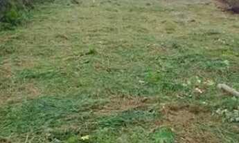 Imagem 5: Terreno à venda, 1527 m² por R$ 95.000,00 - Barbosa - Alvorada do Sul/PR