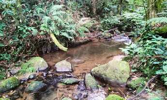 Imagem 6: Terreno grande de 10 alqueires com cachoeira, rio e nascente!