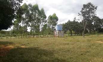 Imagem 2: Fazenda 18 halqueire