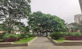 Imagem 6: Locação Apartamento 3 Dormitórios - 90 m² Pompéia