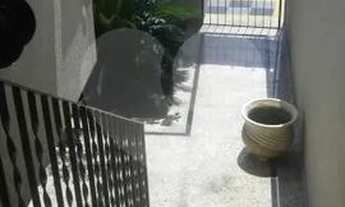 Imagem 5: CASA TÉRREA ASSOBRADADA LINDA A VENDA NO BORTOLÂNDIA - 4 SUÍTES, ÁREA GOURMET E 4 VAGAS DE