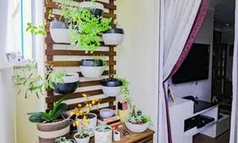 Imagem 5: Apartamento para Aluguel - Santana, 3 Quartos, 85 m2