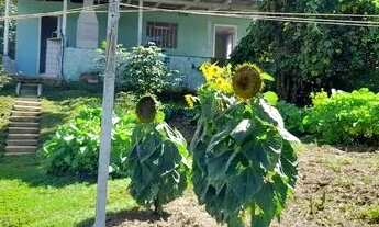 Imagem 3: Vende-se terreno com 2 casas