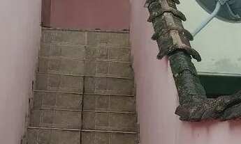 Imagem: Casa Para Alugar Finais de Semana