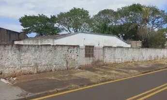 Imagem 4: Maringá - Lote/Terreno - Zona 05