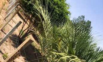 Imagem 6: Chácara Bofete Chácara com venda por R$100.000