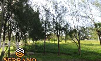 Imagem 3: Imbe - Terreno Padrão - Marisul