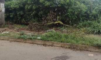 Imagem 3: Lote bairro independência 3 complemento