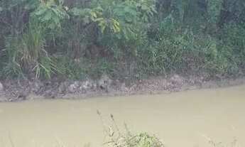 Imagem 2: Chácara 180 mil