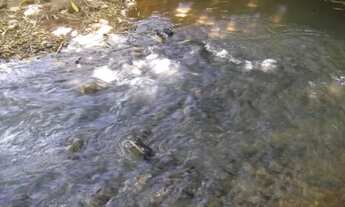 Imagem 5: Fazendinha antiga 15 ha, terra boa, riacho no meio do terreno, Serra do Cipó
