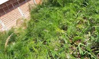 Imagem 3: TERRENO VILA FATIMA 14x36