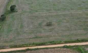 Imagem 2: Chácara muito barata!