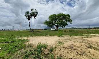 Imagem 3: Lote Park Maracanau