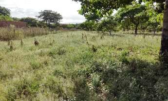 Imagem 3: Terreno em Horizonte - CE - 70 x 75