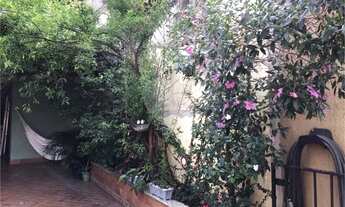 Imagem 3: Casa com ótimo quintal na Freguesia do Ó