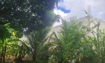 Imagem 3: Terreno a murado MT 23x30x16 na Muribeca