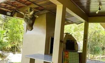 Imagem 6: Chácara a venda 20 alqueires , reflorestamento de eucalipto, casa com piscina