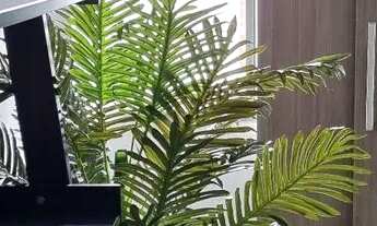 Imagem 5: Alugo quarto suíte, em casa familiar em Jardim Atlantico Olinda