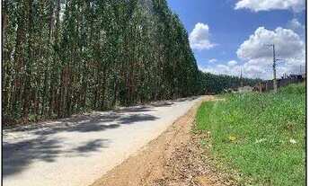 Imagem 2: CHA DE ALEGRIA - Comercial - LOT NOVA CHA DE ALEG