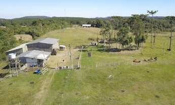 Imagem 5: Fazenda de 82 hectares em São Francisco de Paula