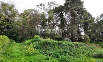 Imagem 2: Lindo Lote de Terreno à Venda na Região de Capivari - Campos do Jordão/SP