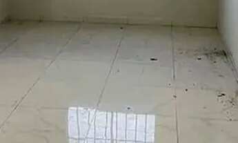 Imagem 7: More no Papagaio! Entrada a partir de R$ 20 Mil