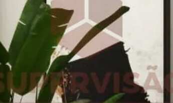 Imagem 11: Casa à venda, 325 m² por R$ 2.500.000,00 - Ingleses do Rio Vermelho - Florianópolis/SC